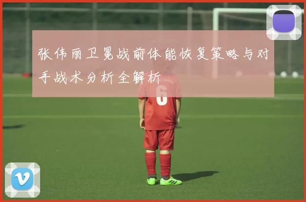 张伟丽卫冕战前体能恢复策略与对手战术分析全解析
